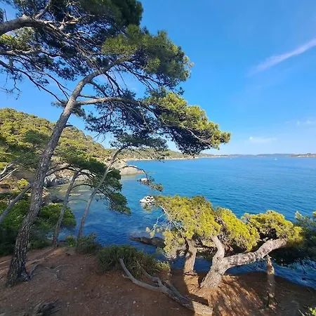 Apartment T4 65 M2, 3 A Giens Proche Village